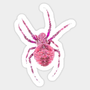 Pink Spider Orb-Weaver Watercolor Style Sticker